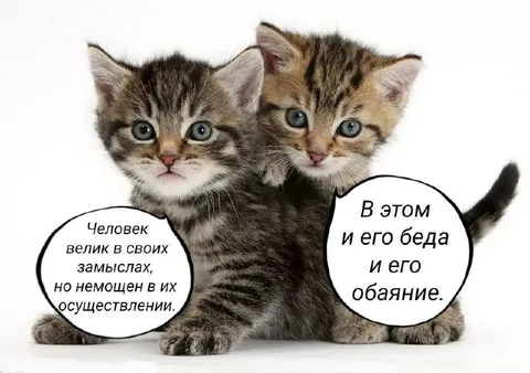 Велик в замыслах, немощен в делах