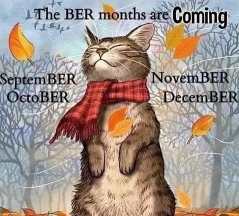 The BER Months Are Coming