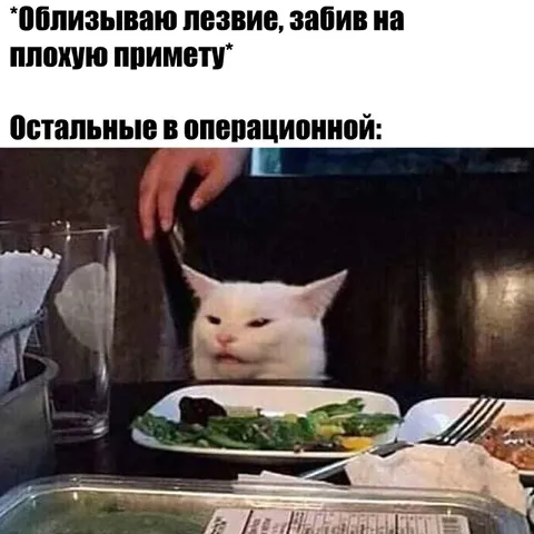 Кот в операционной