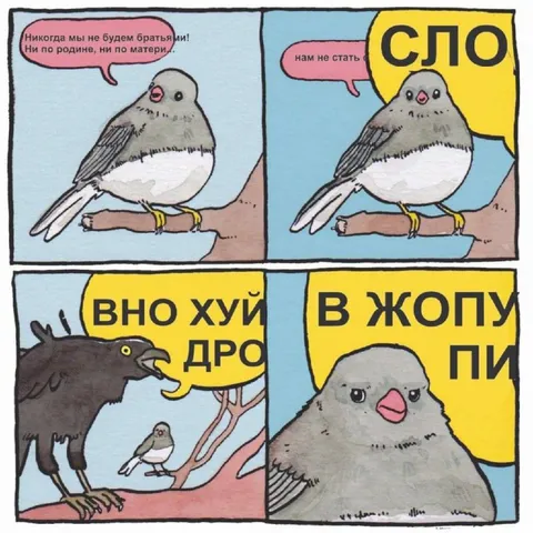 Никогда мы не будем братьями