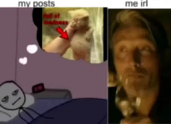 My Posts vs Me IRL