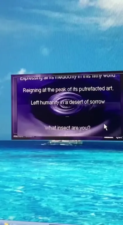 The Art of Software Piracy