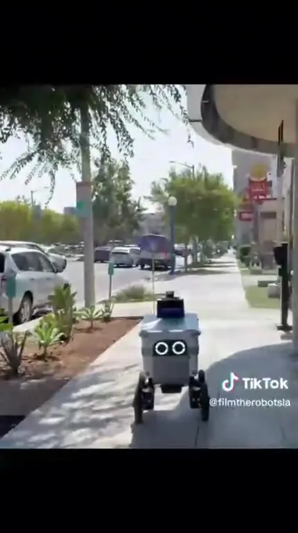 Delivery Robot Following Another Robot