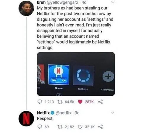 Netflix Settings Account Prank