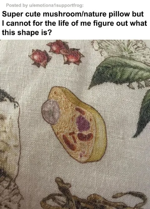 Mystery Shape on Nature Pillow
