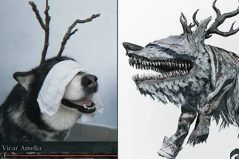 Dog Looks Like Vicar Amelia