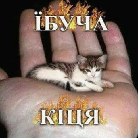 ЇБУЧА КІЦЯ
