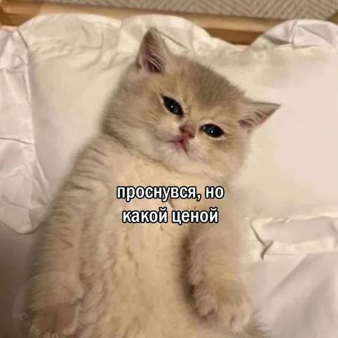 Проснулся, но какой ценой