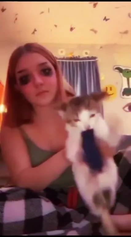 Are U Done Cat