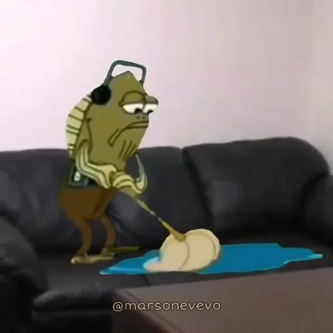 Рыба моет диван