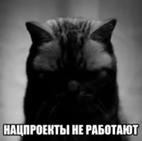 Нацпроекты не работают
