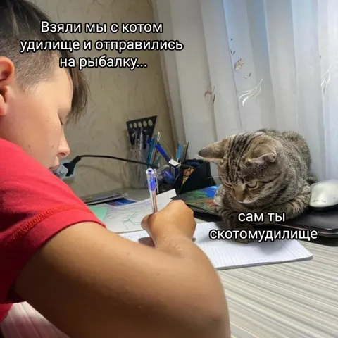 Кот исправляет рыбака