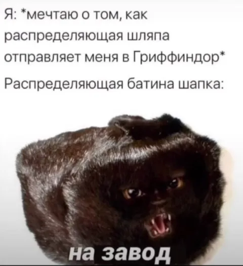 Распределяющая шапка отправляет на завод