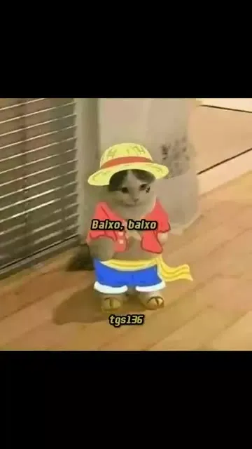 Vamos dançar esta noite