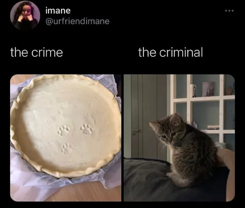 the crime and the criminal