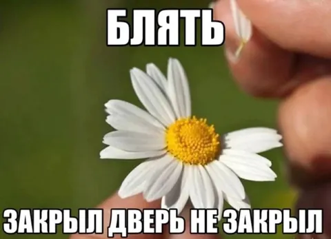 Закрыл дверь, но не закрыл