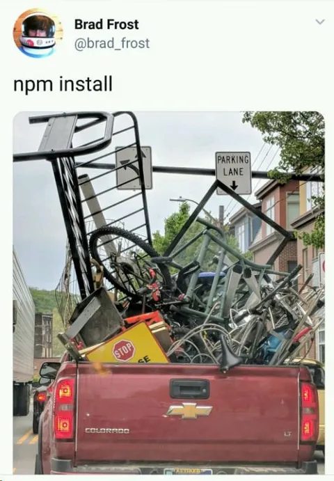 npm install Disaster