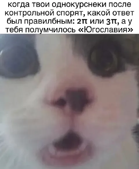 Когда ответ превратился в Югославию