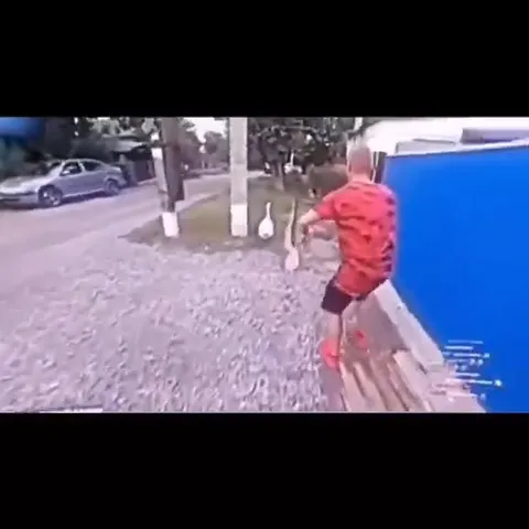 Парень гонится за гусём