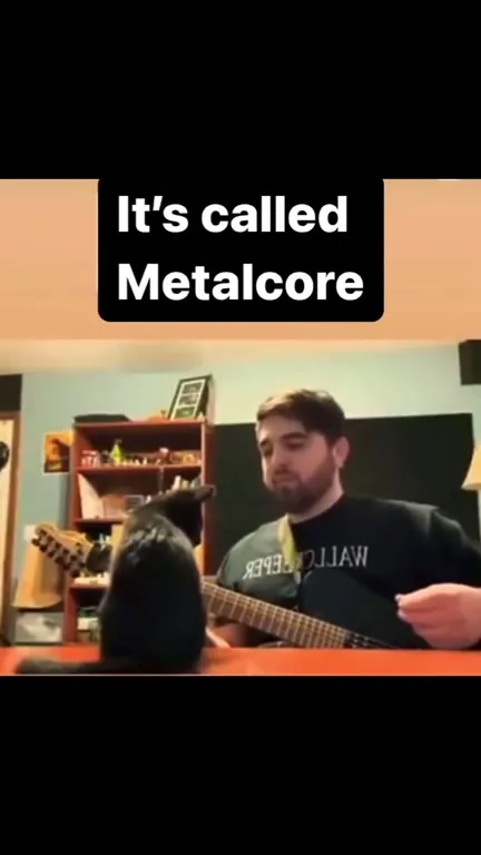 Cat Discovers Metalcore