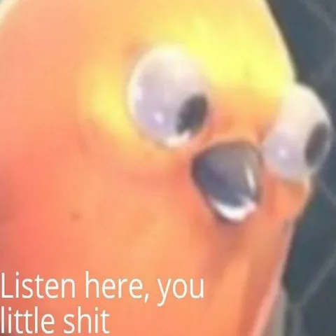 Listen Here, You Little Shit