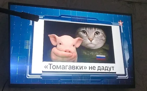 «Томагавки» не дадут