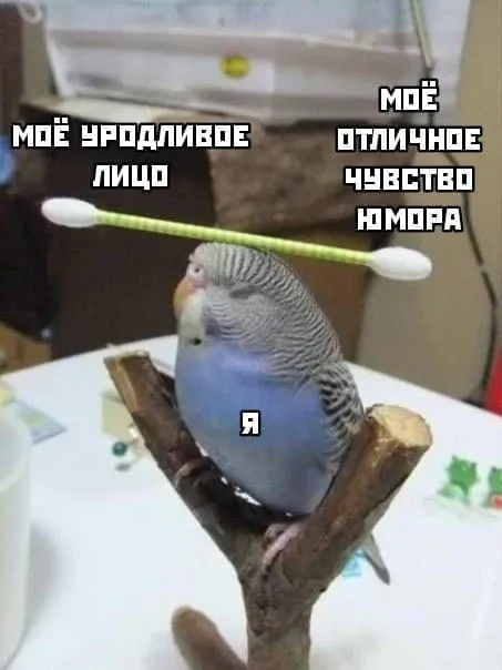 Уродливое лицо и чувство юмора