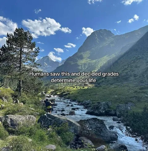 Grades Determine Your Life