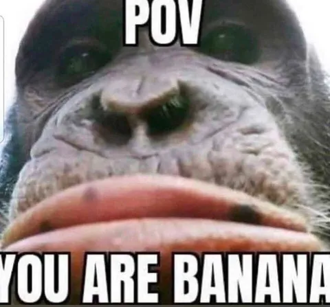POV You Are Banana