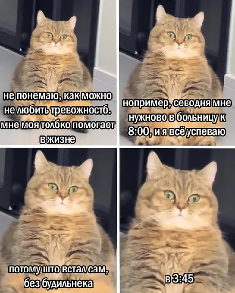 Тревожность помогает не проспать