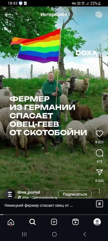 Фермер спасает овец от скотобойни