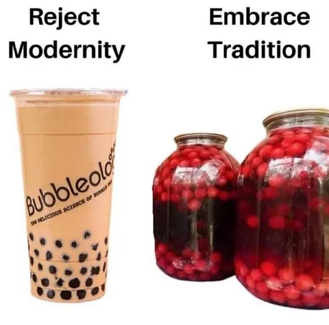 Reject Modernity Embrace Tradition