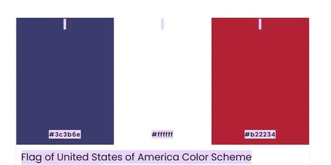 US Flag Color Scheme