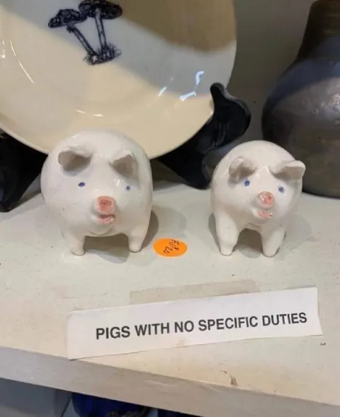 Pigs With No Specific Duties