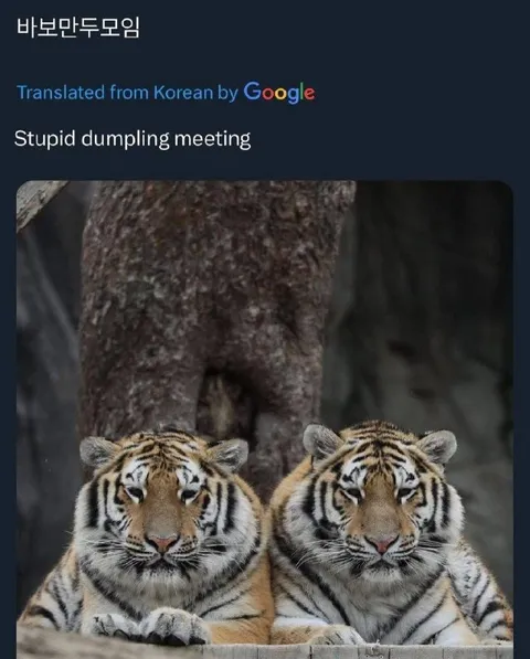 바보 만두 모임