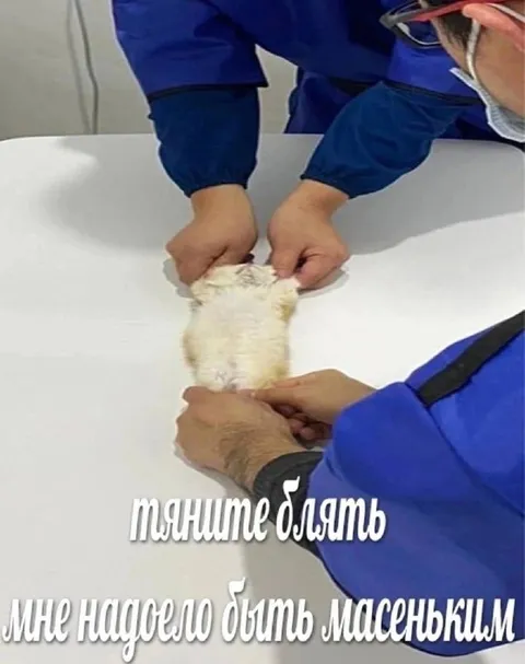 Мне надоело быть маленьким