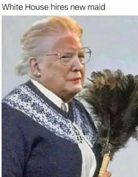 White House New Maid