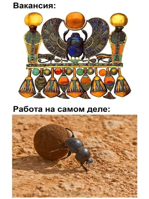 Вакансия и работа на самом деле