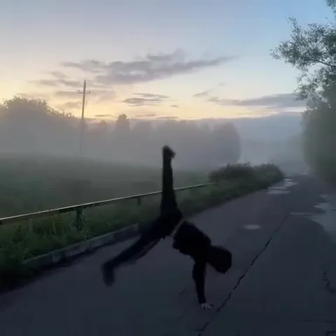 Танец в туманной дороге