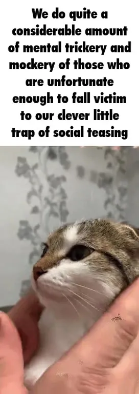 Cat’s Clever Little Trap