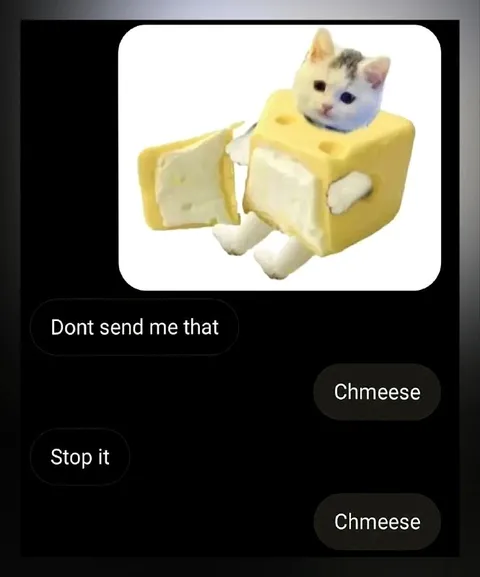 Cat in a Cheese Costume