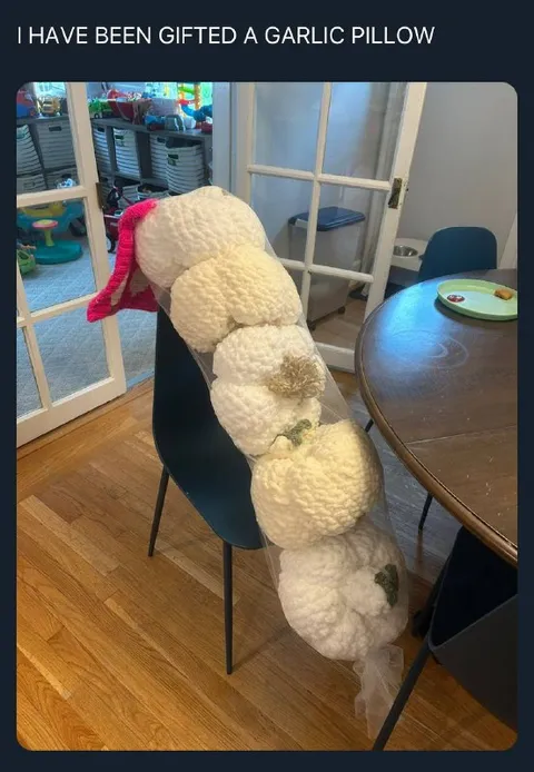 Garlic Pillow Gift