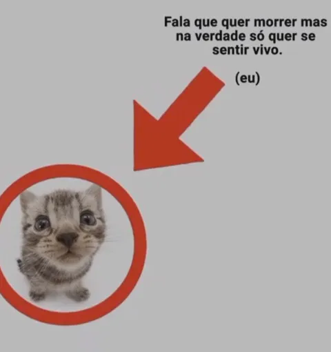 Só quer se sentir vivo