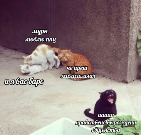 Нравственно вырожденец общества