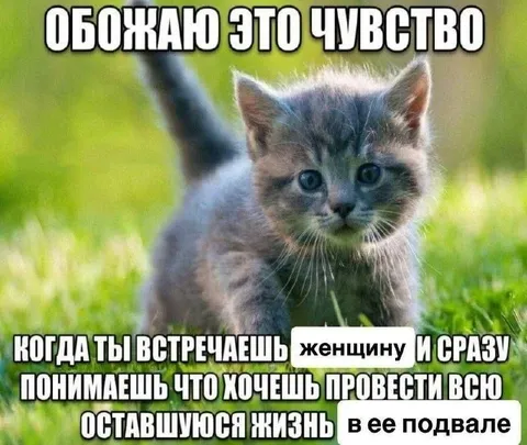 Обожаю это чувство