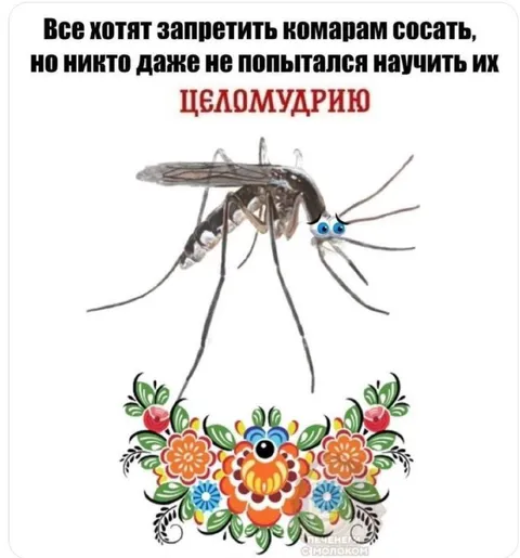 Комар без целомудрия