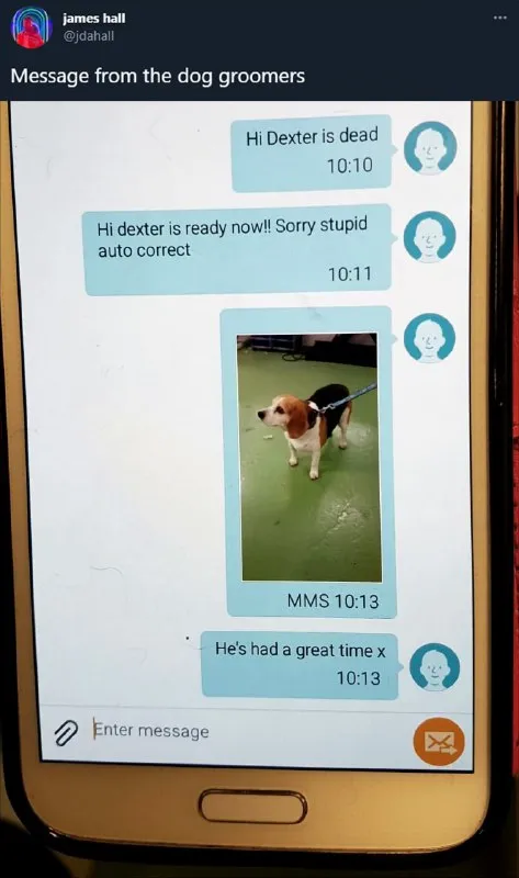Dog Groomers Autocorrect Fail