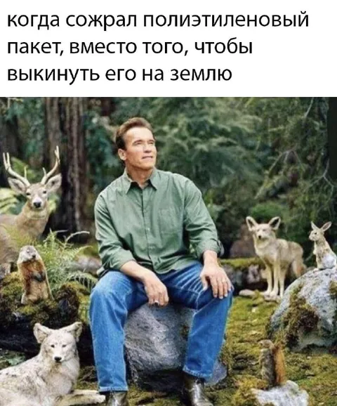 Сохранил полиэтиленовый пакет