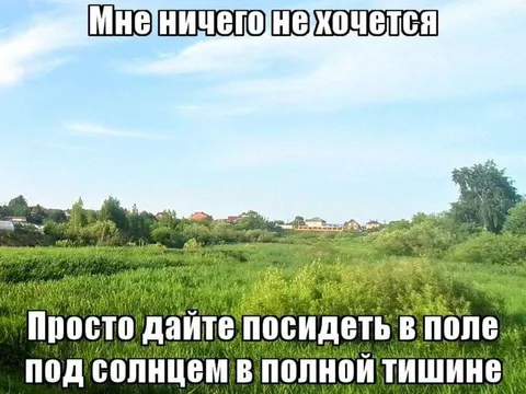 Посидеть в поле в тишине