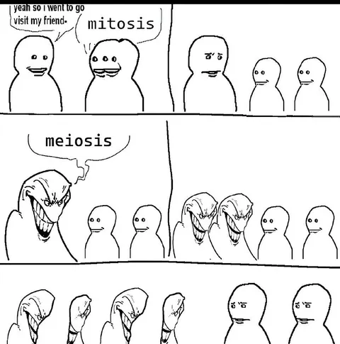 Mitosis Versus Meiosis Visit